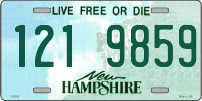 NH license plate 1219859