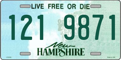 NH license plate 1219871