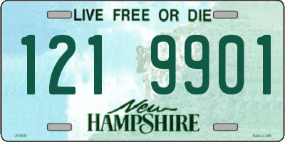 NH license plate 1219901