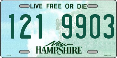NH license plate 1219903