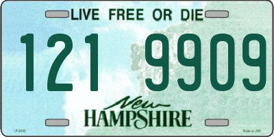 NH license plate 1219909