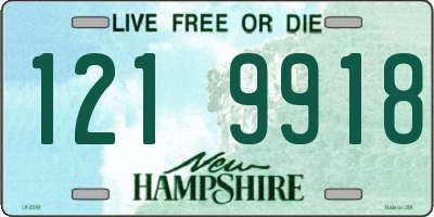 NH license plate 1219918