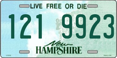 NH license plate 1219923