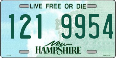 NH license plate 1219954
