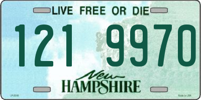 NH license plate 1219970