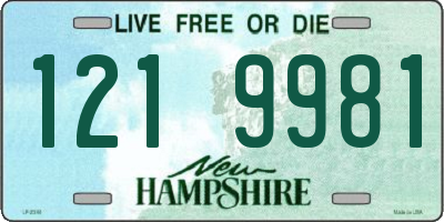 NH license plate 1219981