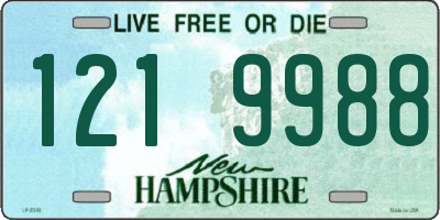 NH license plate 1219988