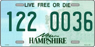 NH license plate 1220036