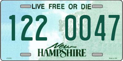 NH license plate 1220047