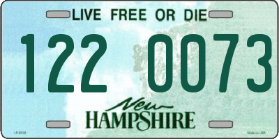 NH license plate 1220073