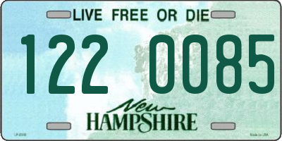 NH license plate 1220085