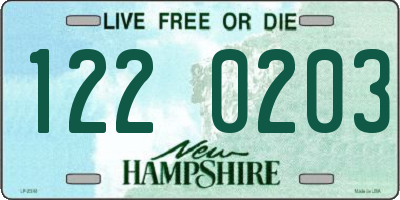 NH license plate 1220203