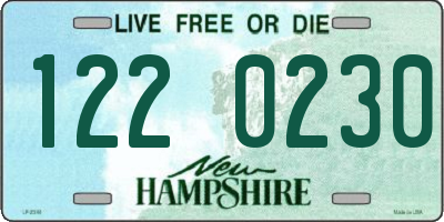 NH license plate 1220230