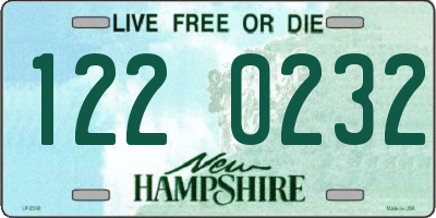 NH license plate 1220232