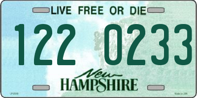 NH license plate 1220233