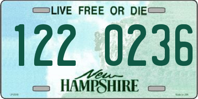 NH license plate 1220236