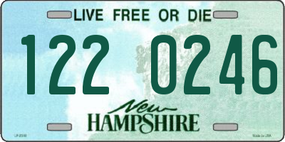 NH license plate 1220246