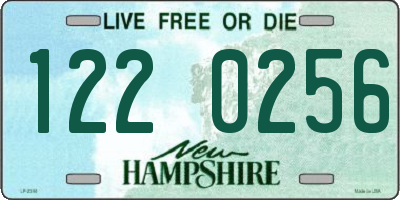 NH license plate 1220256