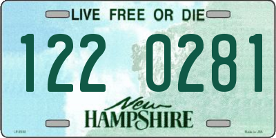 NH license plate 1220281