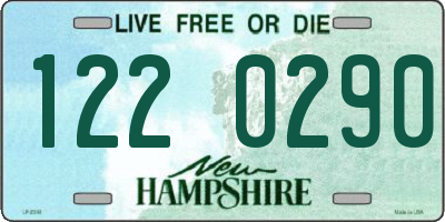 NH license plate 1220290