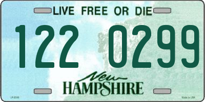 NH license plate 1220299