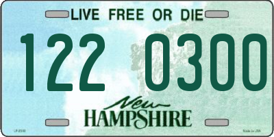 NH license plate 1220300