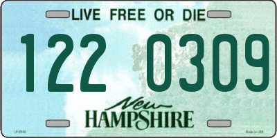 NH license plate 1220309