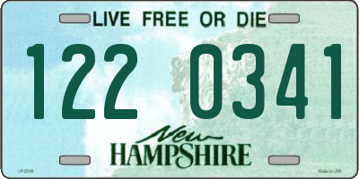NH license plate 1220341