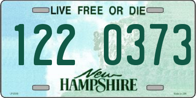 NH license plate 1220373