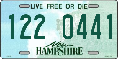 NH license plate 1220441