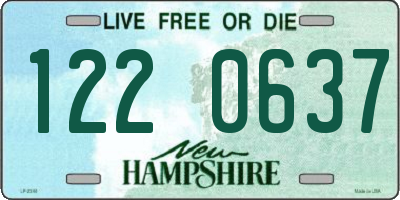 NH license plate 1220637