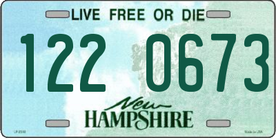 NH license plate 1220673