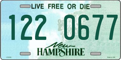 NH license plate 1220677