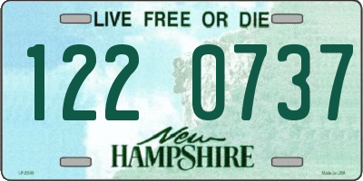 NH license plate 1220737