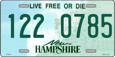 NH license plate 1220785