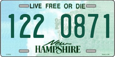 NH license plate 1220871