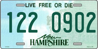 NH license plate 1220902