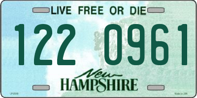 NH license plate 1220961