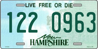 NH license plate 1220963