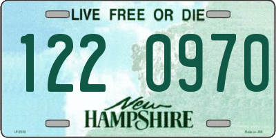 NH license plate 1220970