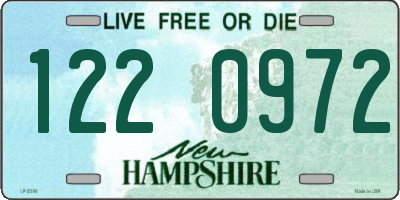 NH license plate 1220972