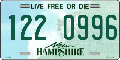 NH license plate 1220996