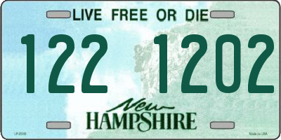 NH license plate 1221202