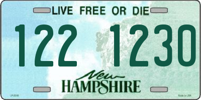 NH license plate 1221230