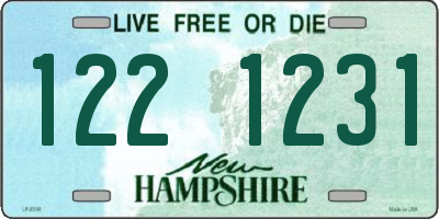 NH license plate 1221231