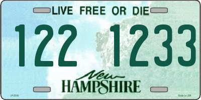 NH license plate 1221233