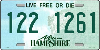 NH license plate 1221261