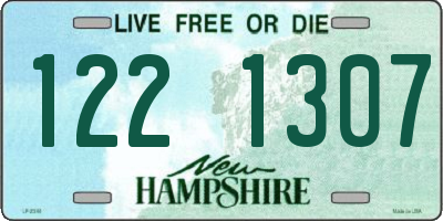 NH license plate 1221307