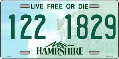 NH license plate 1221829