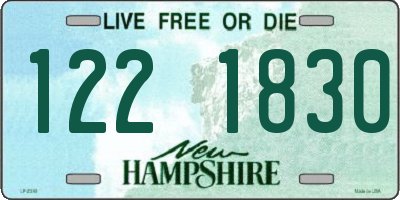 NH license plate 1221830